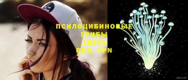 бошки Покровск