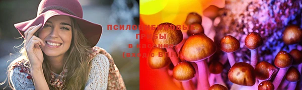 стафф Пересвет
