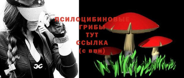 бошки Покровск