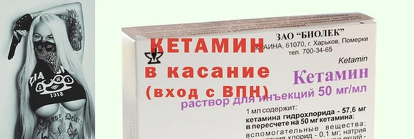 шишки Дмитриев