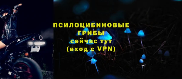сатива Покров