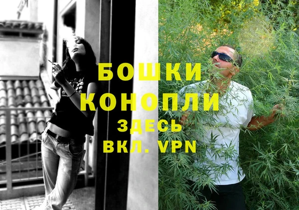 сатива Покров