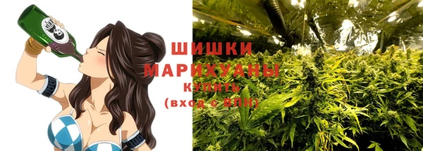 сатива Покров