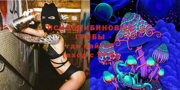 бошки Покачи