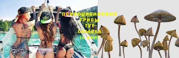герыч Переславль-Залесский