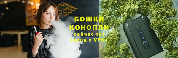 стафф Пересвет