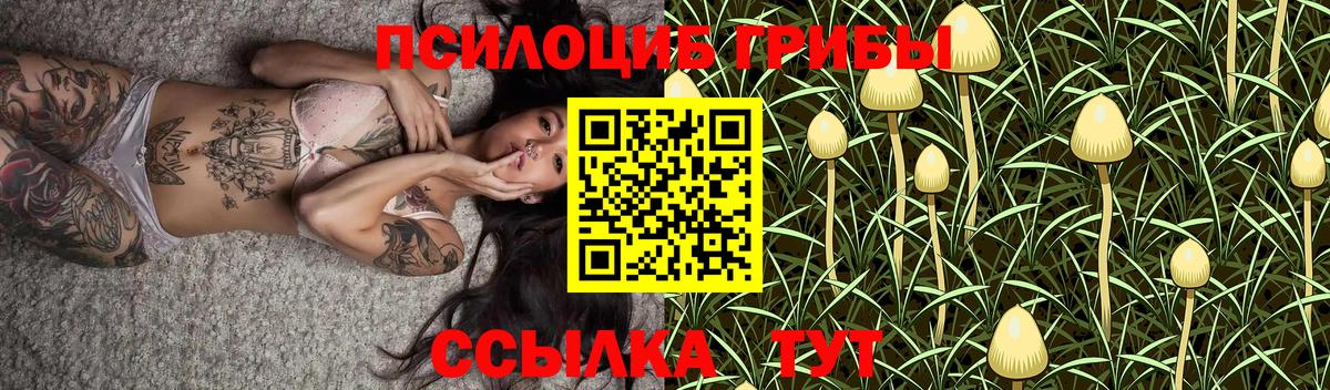 Богородицк  Псилоцибиновые грибы Magic Shrooms  Псилоцибиновые грибы ЛСД  Вход с VPN 