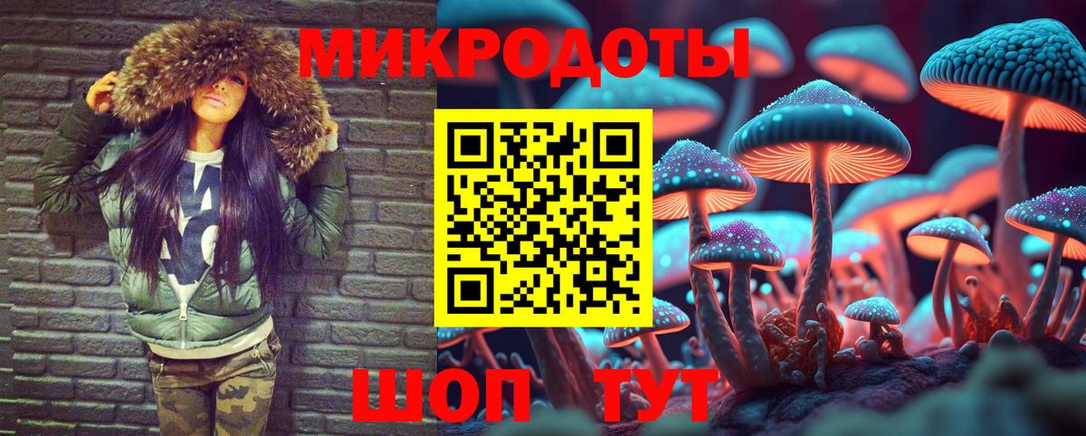 Галлюциногенные грибы мухоморы Богородицк