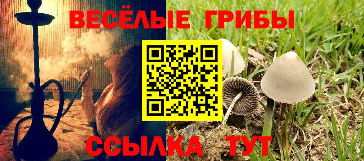 Галлюциногенные грибы GOLDEN TEACHER Богородицк