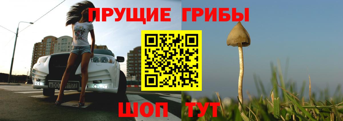 Галлюциногенные грибы Magic Shrooms  Галлюциногенные грибы Magic Shrooms  Богородицк 